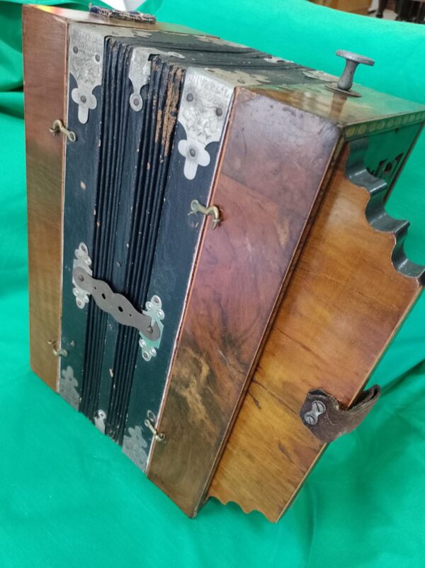 Antigo Acordeon 6 baixos - século 19 - Image 6